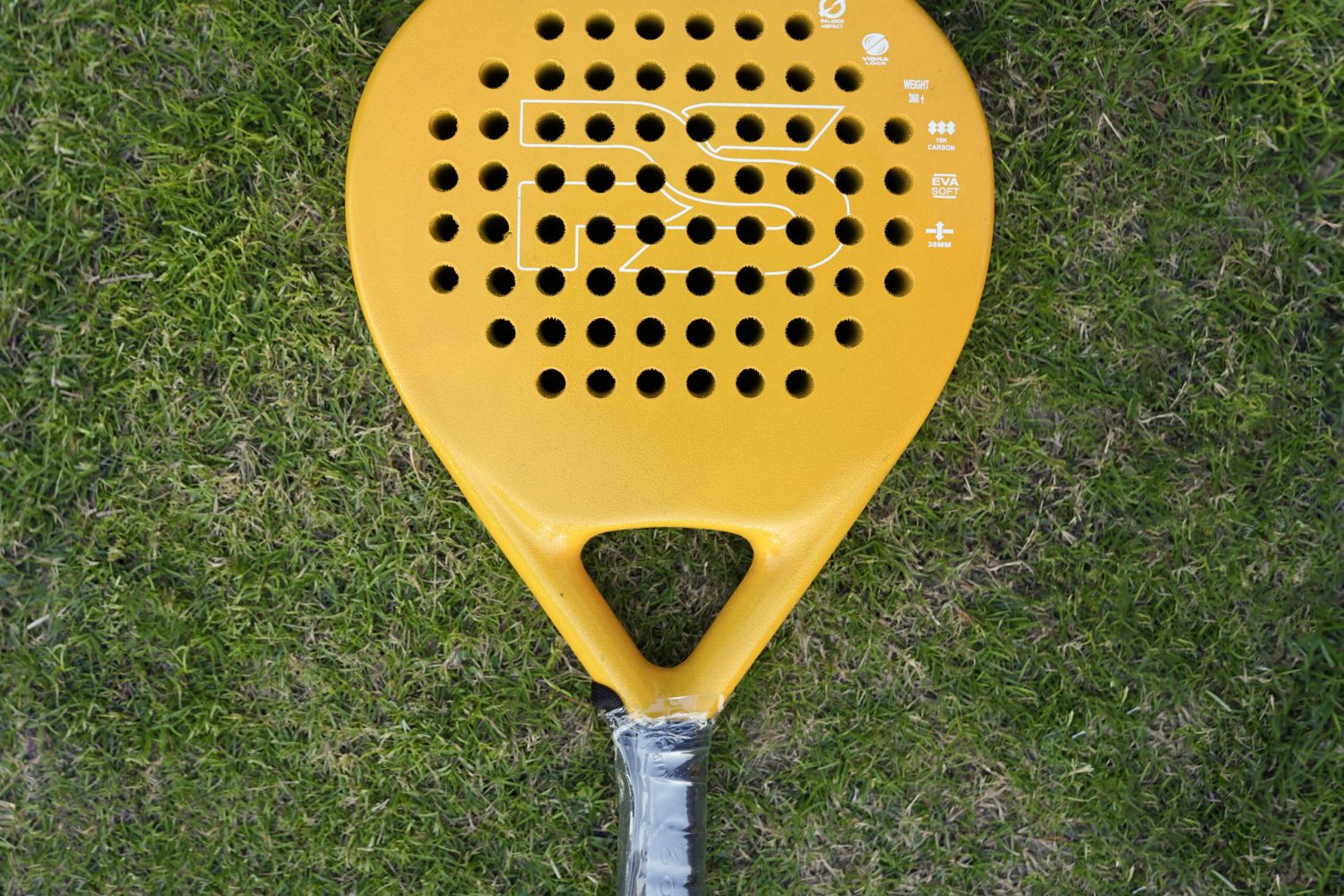 MSK04939